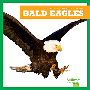 Cover Art for Bald Eagles
