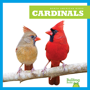 Cover Art for Cardinals