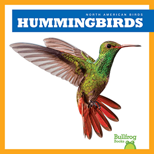 Cover Art for Hummingbirds