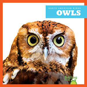 Cover Art for Owls