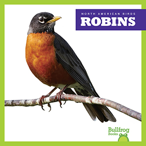 Cover Art for Robins