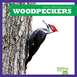 Cover Art for Woodpeckers