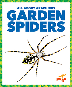 Cover Art for Garden Spiders