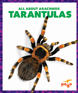 Cover Art for Tarantulas