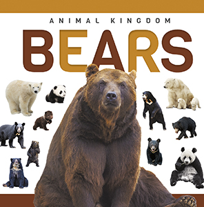Cover Art for Bears