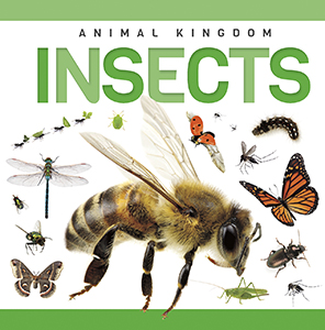 Cover Art for Insects