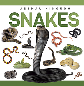 Cover Art for Snakes