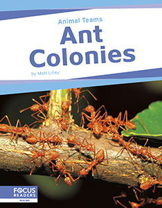 Cover Art for Ant Colonies