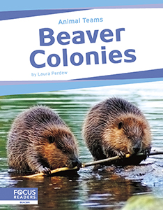 Cover Art for Beaver Colonies