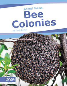 Cover Art for Bee Colonies