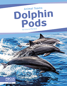 Cover Art for Dolphin Pods