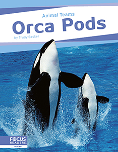 Cover Art for Orca Pods