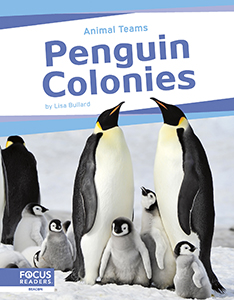 Cover Art for Penguin Colonies
