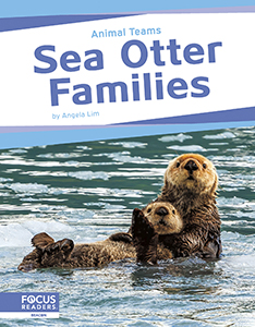 Cover Art for Sea Otter Families