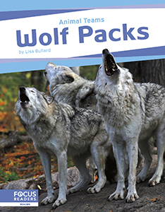 Cover Art for Wolf Packs