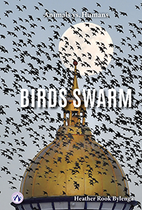 Cover Art for Birds Swarm