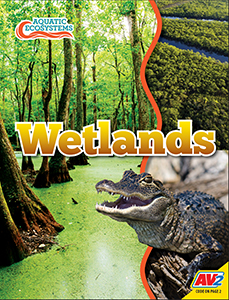 Cover Art for Wetlands