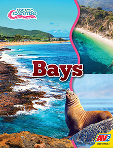Cover Art for Bays