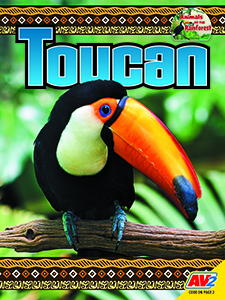 Cover Art for Toucan