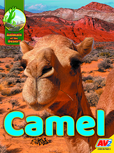 Cover Art for Camel