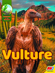 Cover Art for Vulture