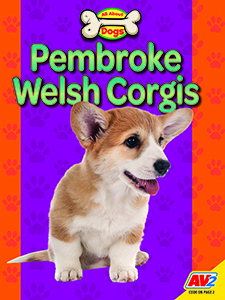 Cover Art for Pembroke Welsh Corgis