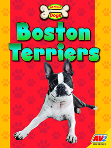 Cover Art for Boston Terriers