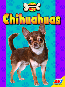 Cover Art for Chihuahuas