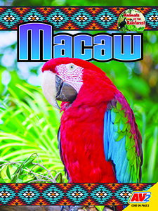 Cover Art for Macaw