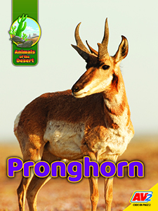 Cover Art for Pronghorn