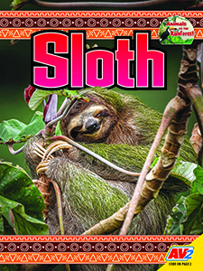Cover Art for Sloth