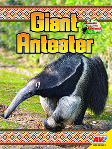 Cover Art for Giant Anteater