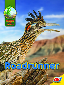 Cover Art for Roadrunner