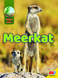 Cover Art for Meerkat